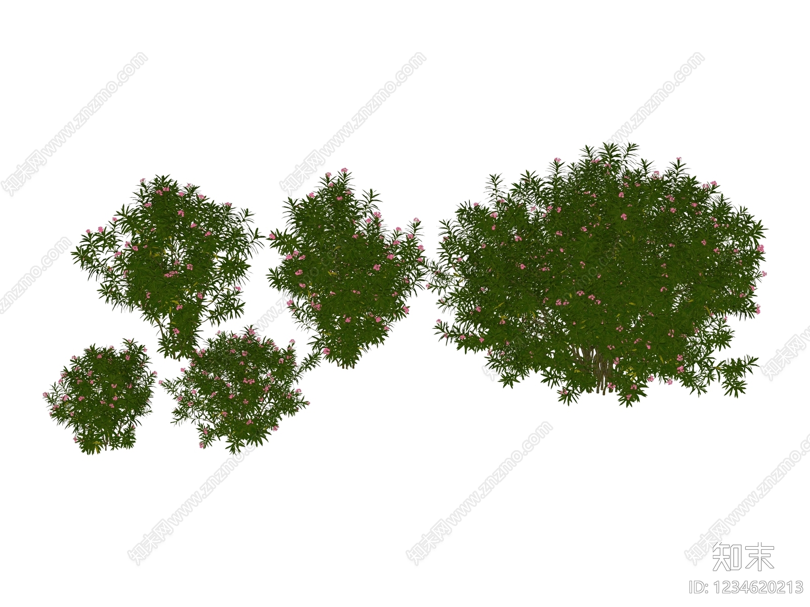 灌木SU模型下载【ID:1234620213】