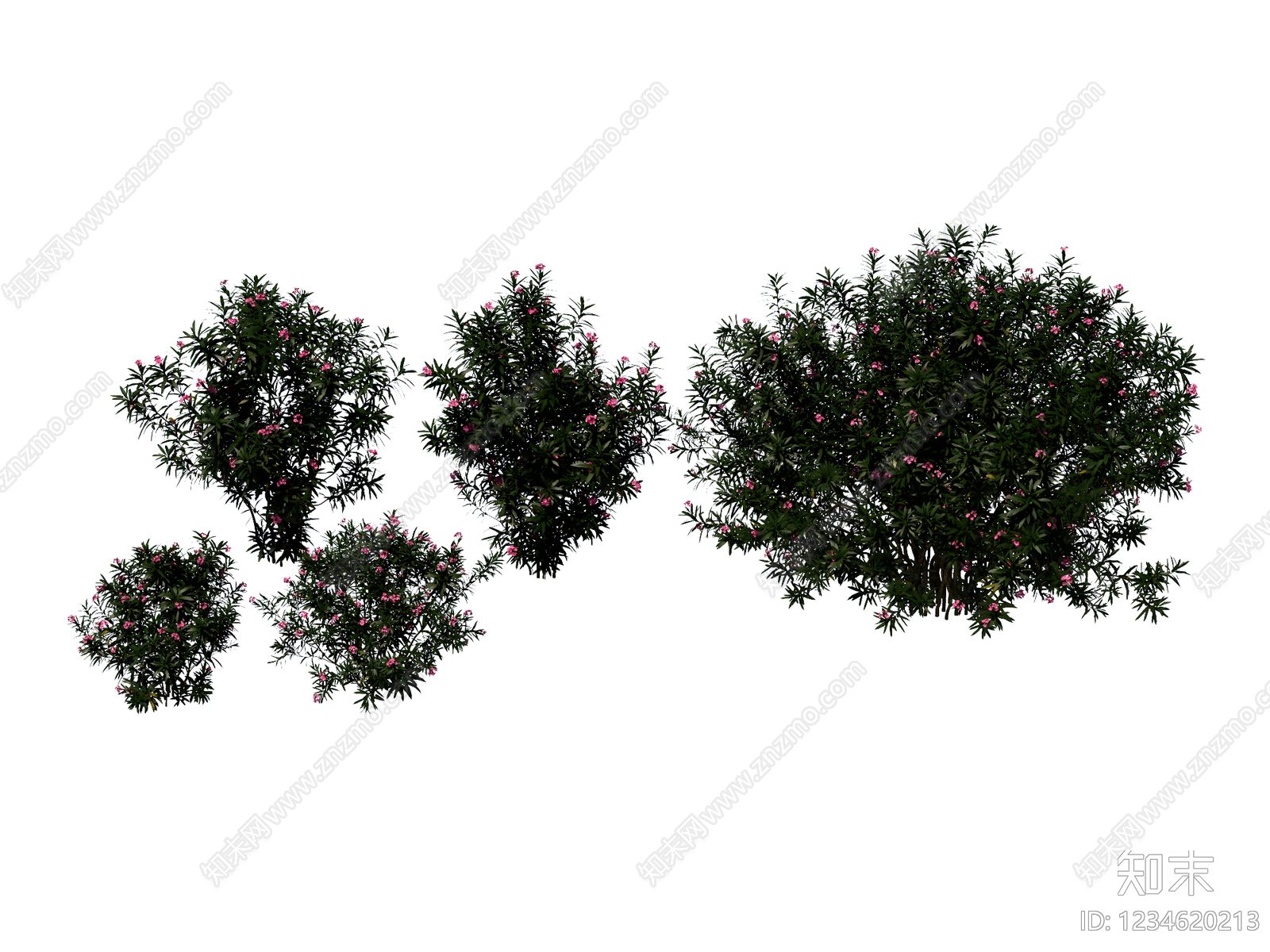 灌木SU模型下载【ID:1234620213】