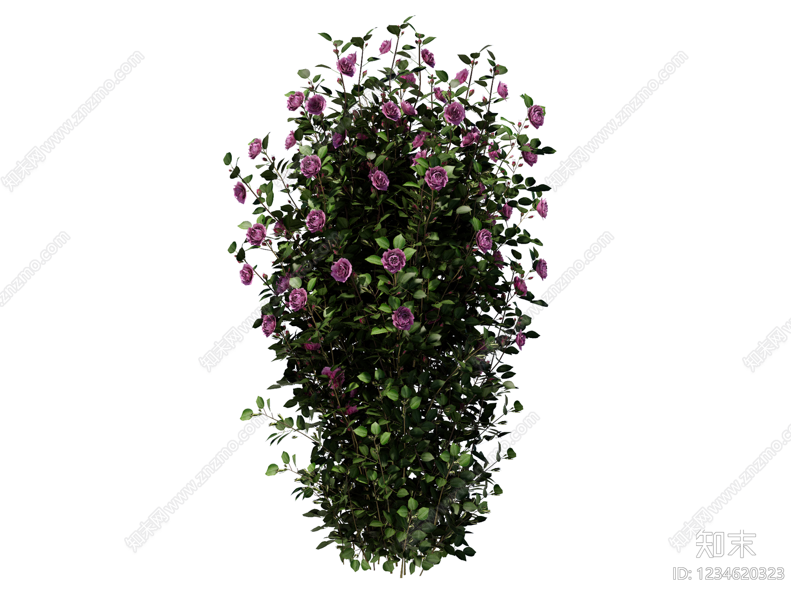 灌木SU模型下载【ID:1234620323】