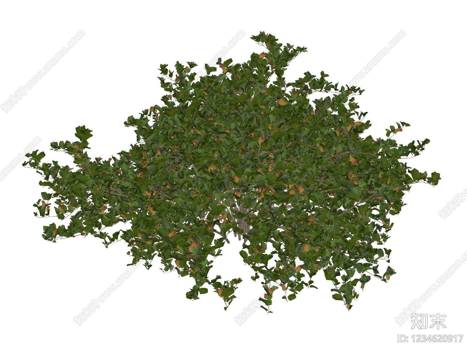灌木SU模型下载【ID:1234620917】