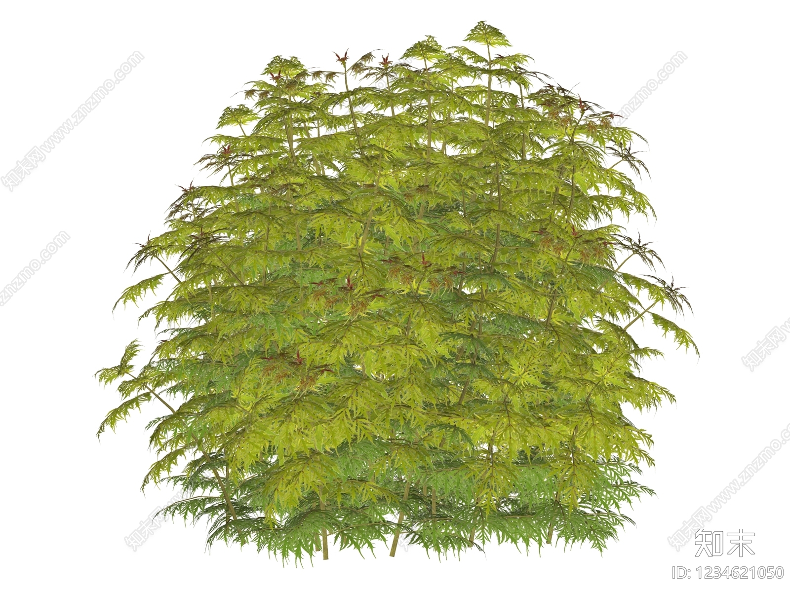 灌木SU模型下载【ID:1234621050】