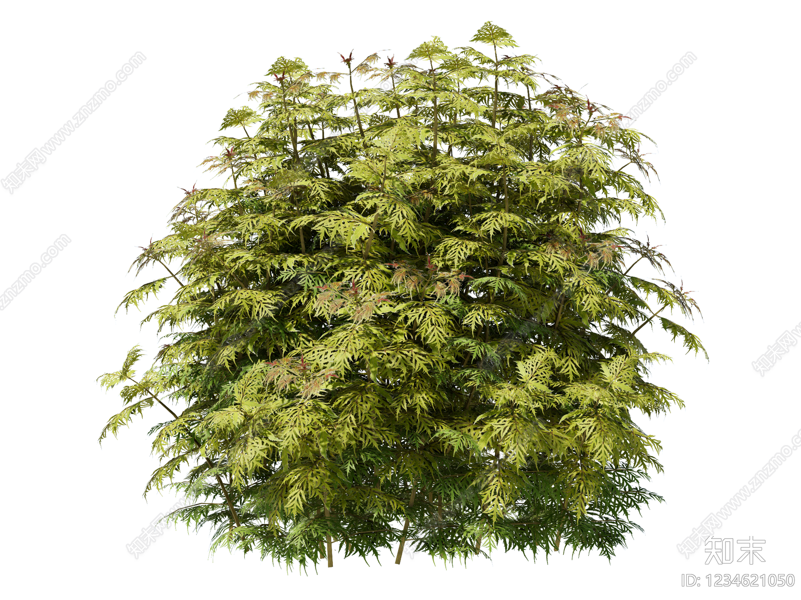 灌木SU模型下载【ID:1234621050】