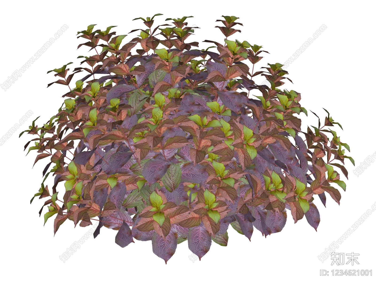 灌木SU模型下载【ID:1234621001】