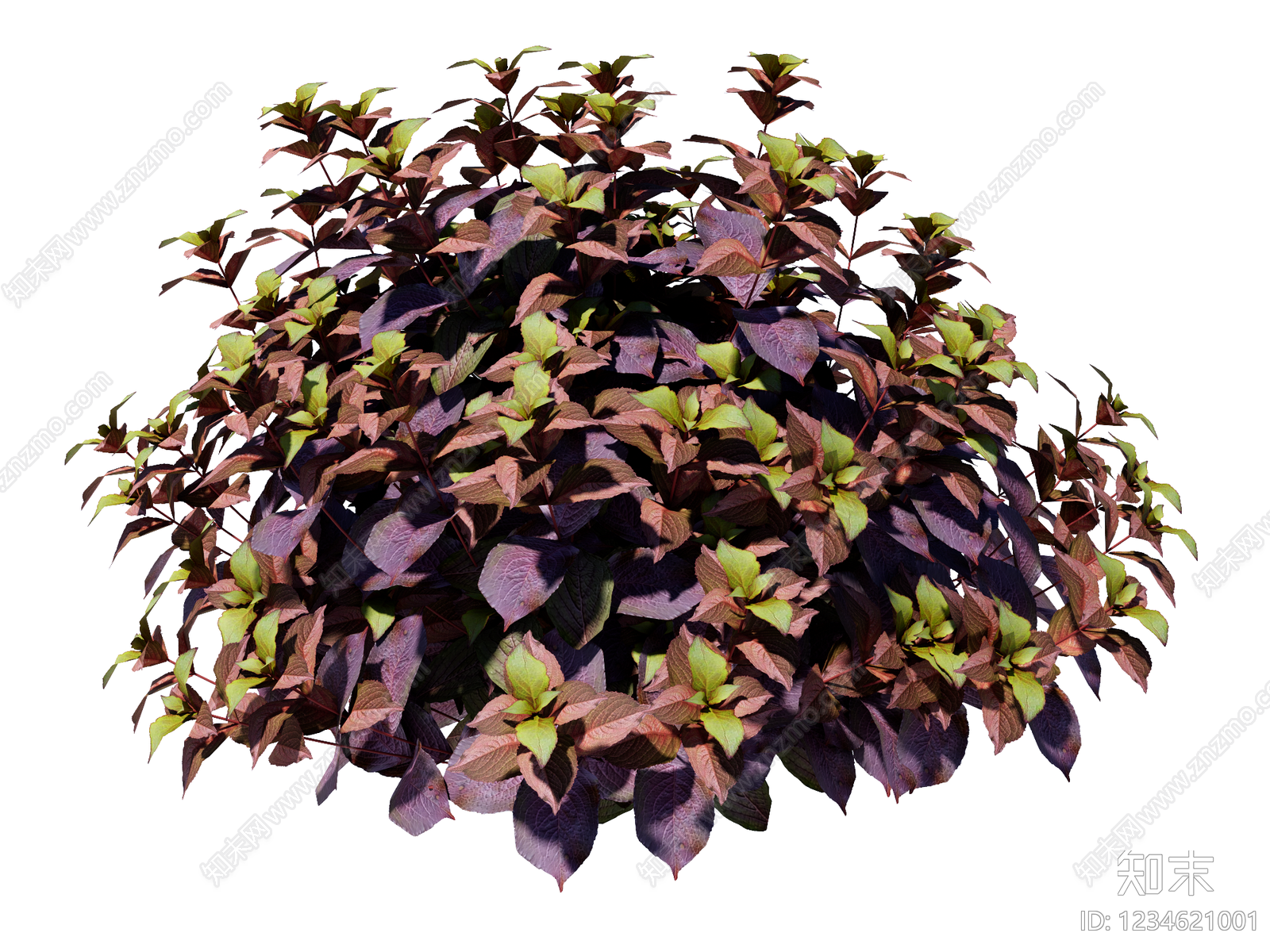 灌木SU模型下载【ID:1234621001】