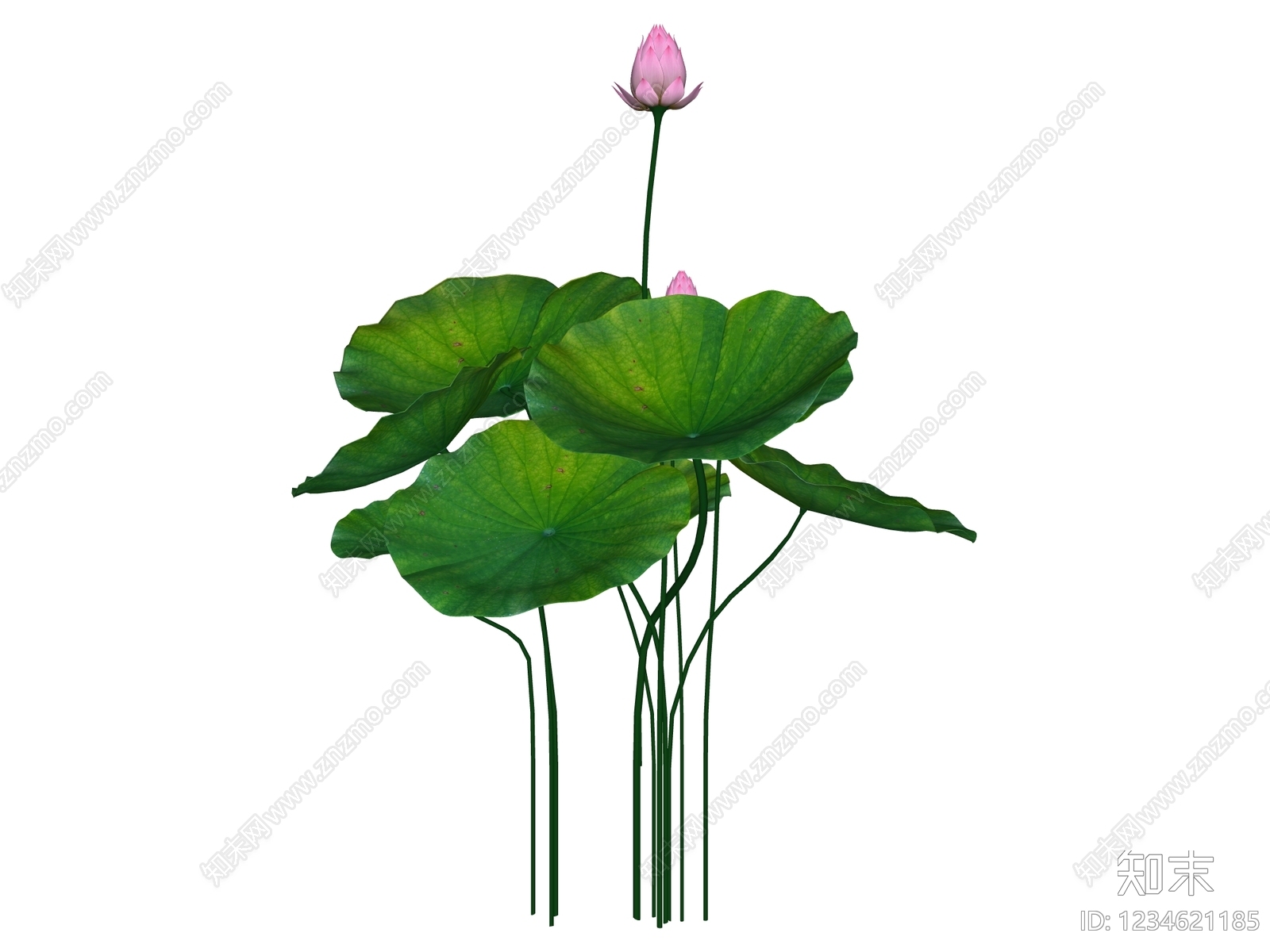 新中式水生植物SU模型下载【ID:1234621185】