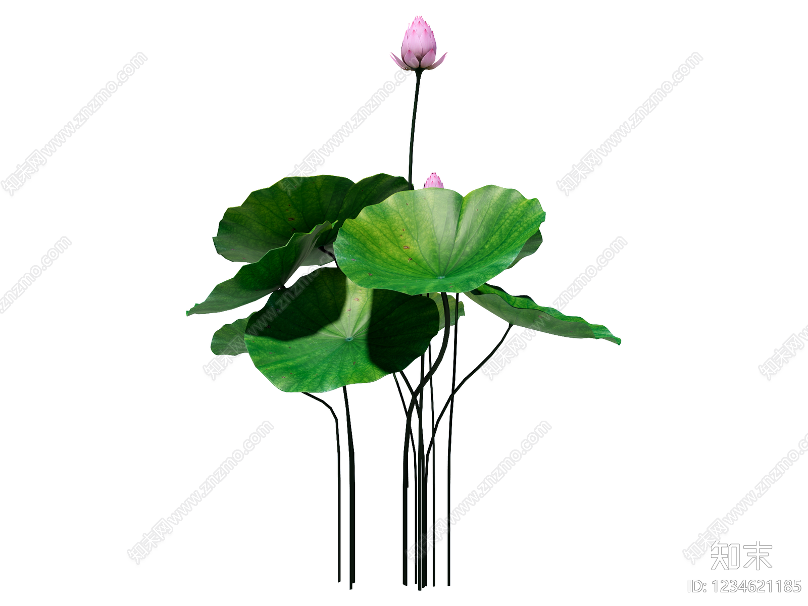 新中式水生植物SU模型下载【ID:1234621185】