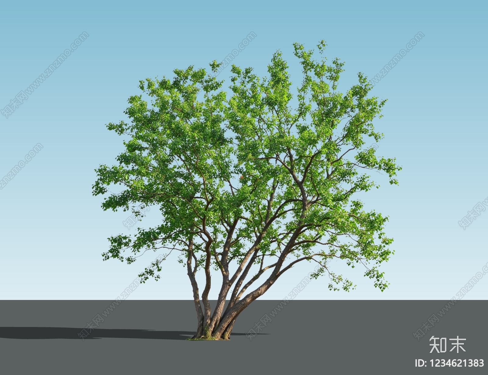乔木SU模型下载【ID:1234621383】