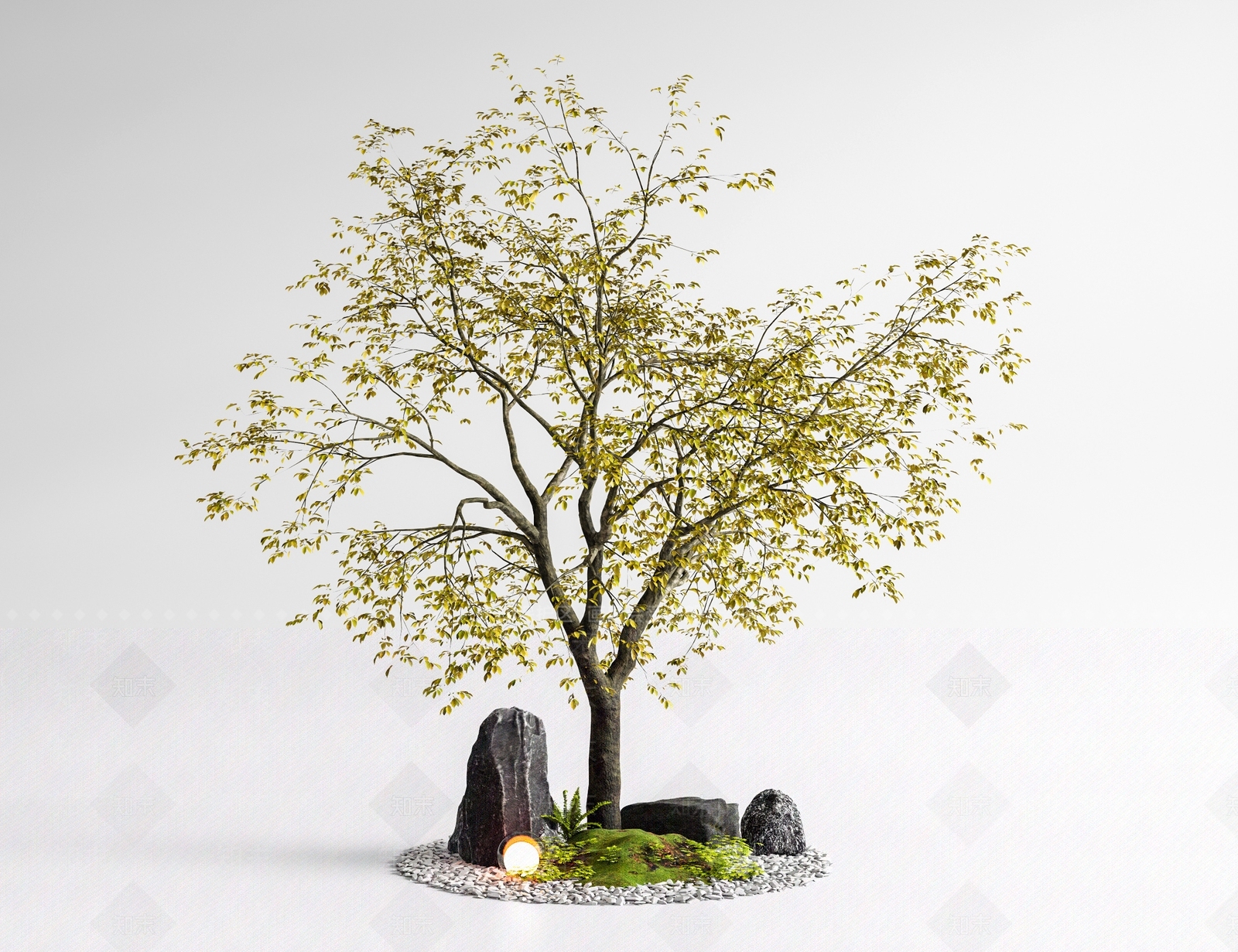 禅意景观树3D模型渲染效果图