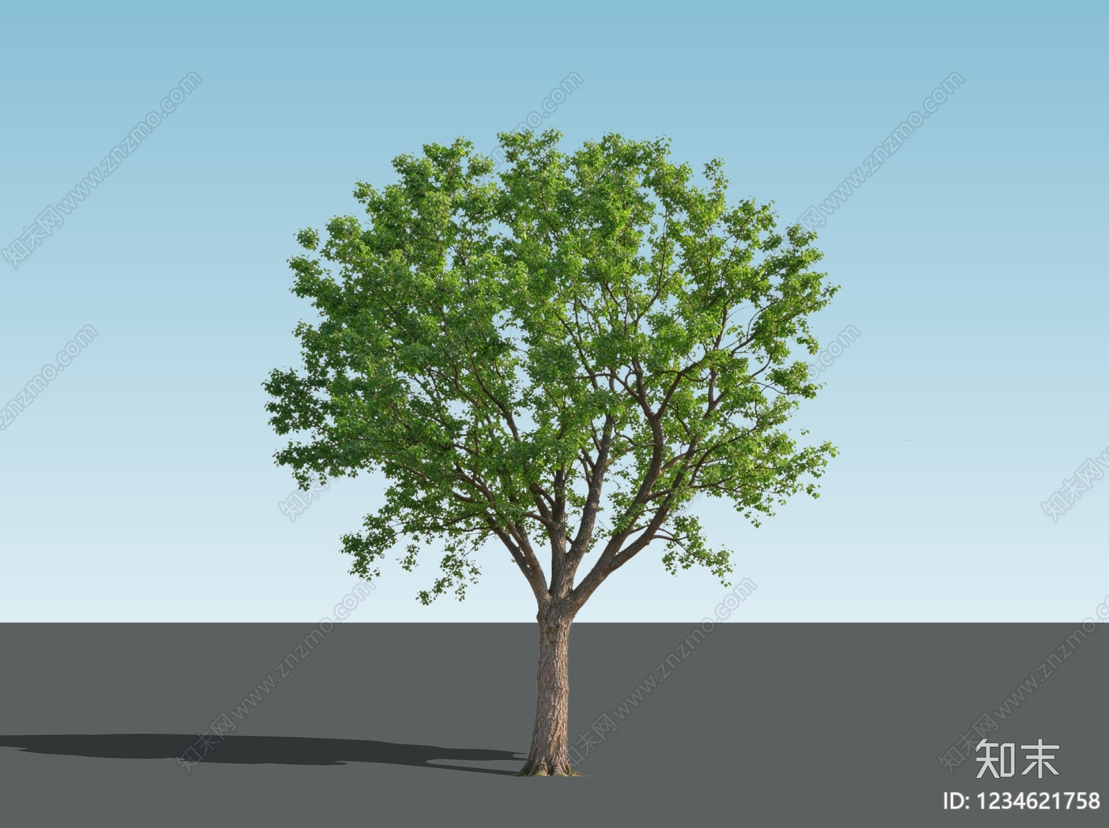 乔木SU模型下载【ID:1234621758】