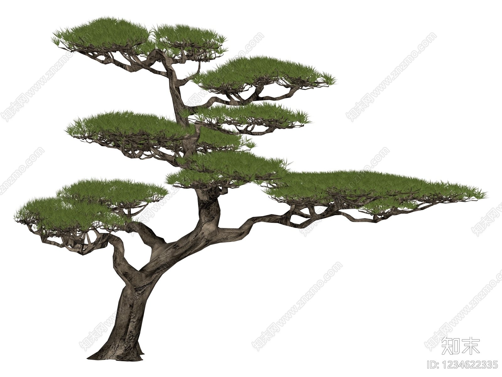 禅意乔木SU模型下载【ID:1234622335】