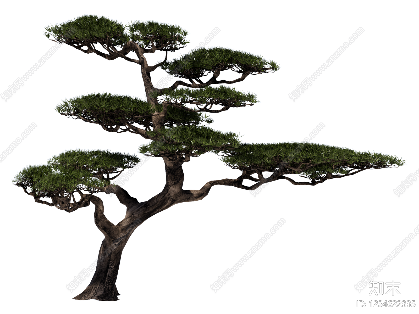 禅意乔木SU模型下载【ID:1234622335】