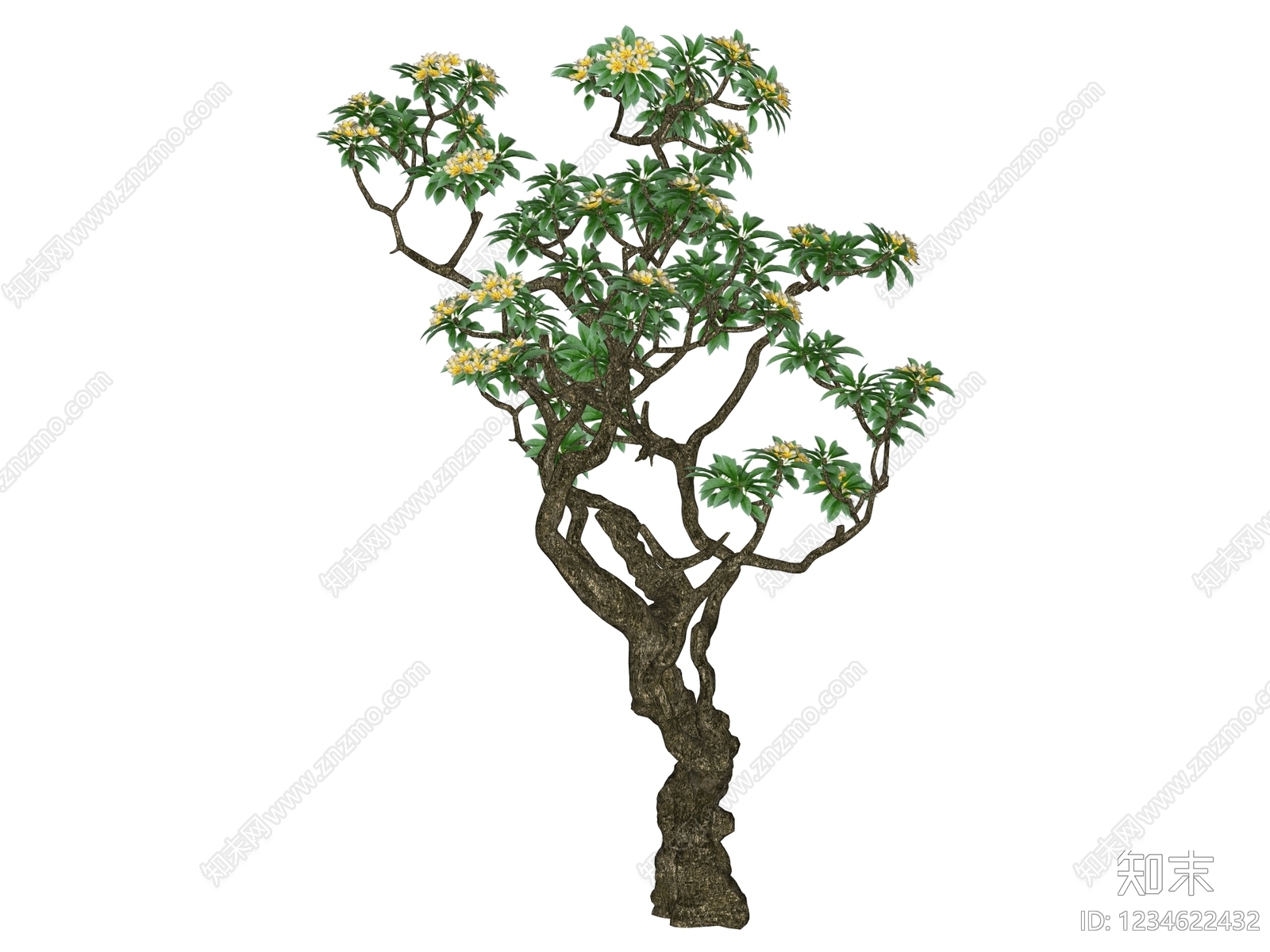 中式乔木SU模型下载【ID:1234622432】