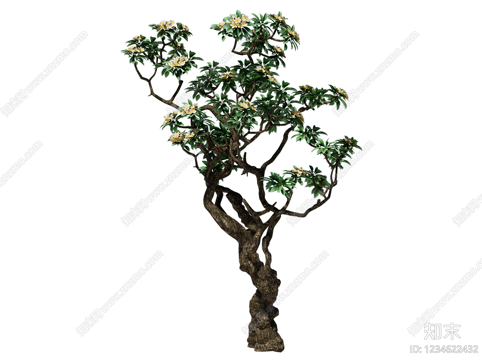 中式乔木SU模型下载【ID:1234622432】