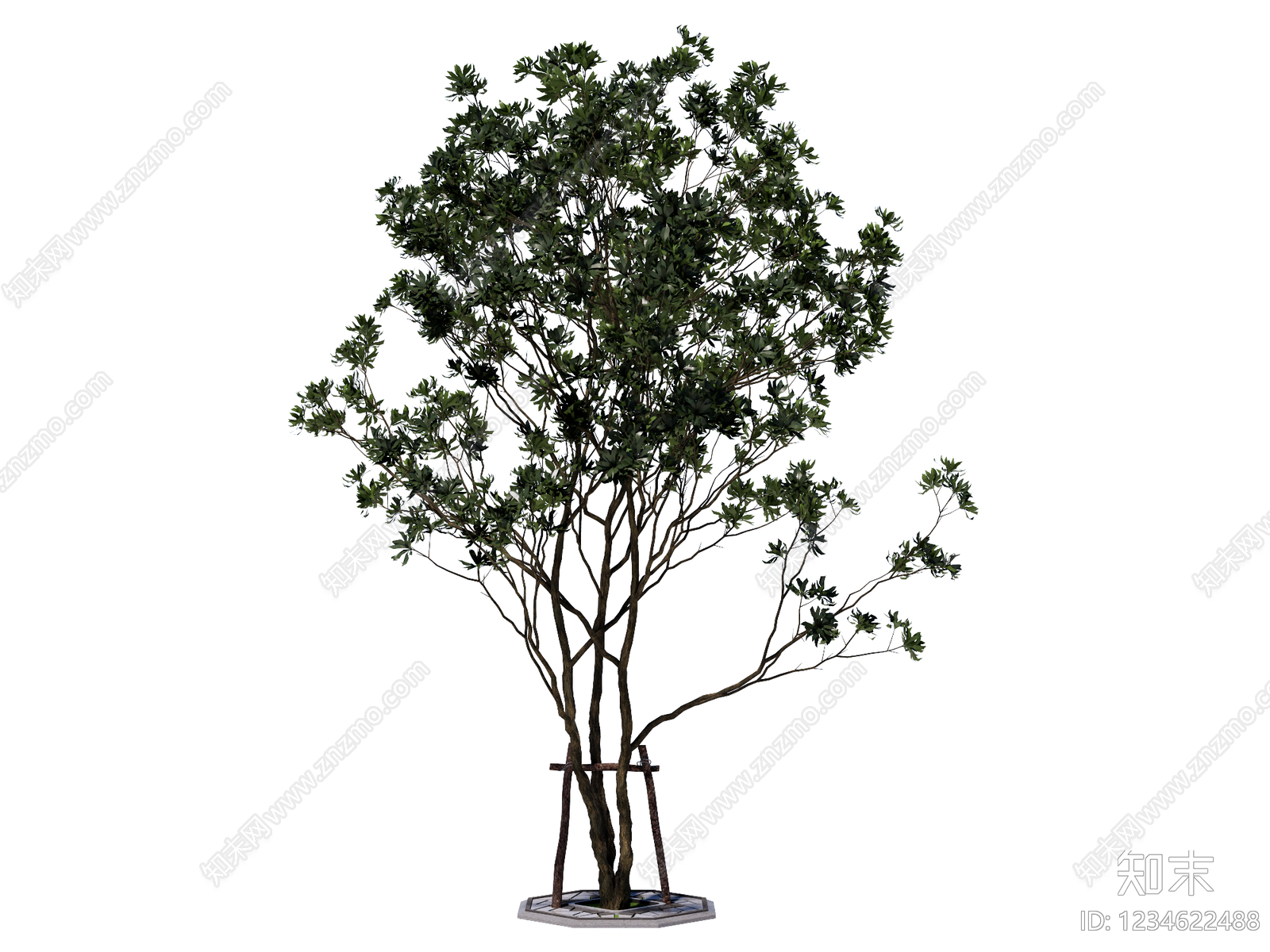 乔木SU模型下载【ID:1234622488】