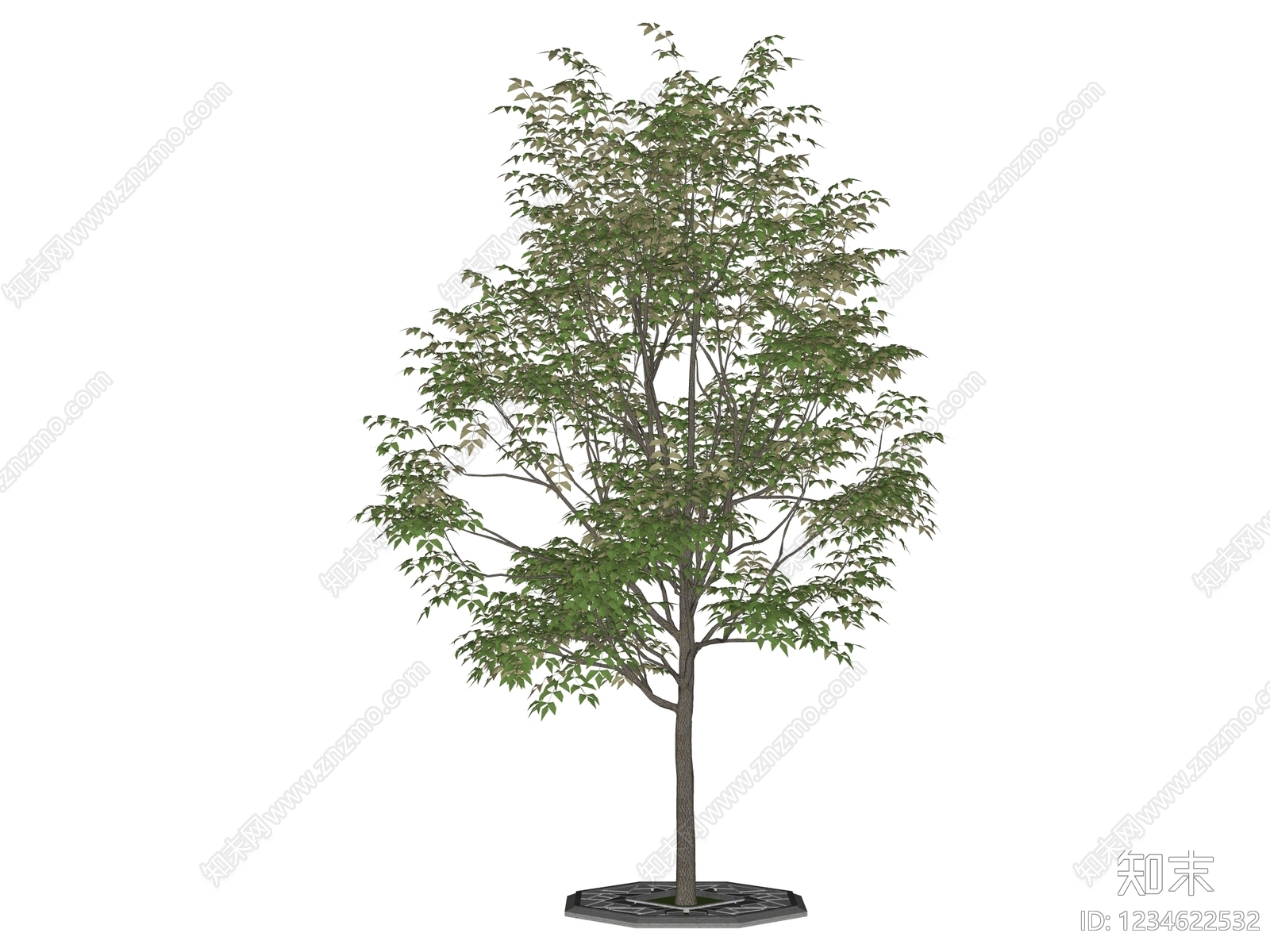 乔木SU模型下载【ID:1234622532】