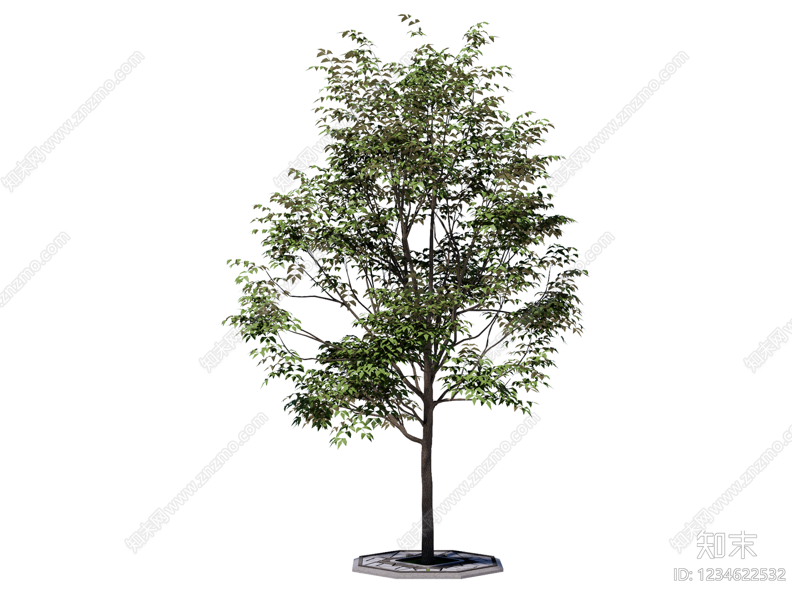 乔木SU模型下载【ID:1234622532】