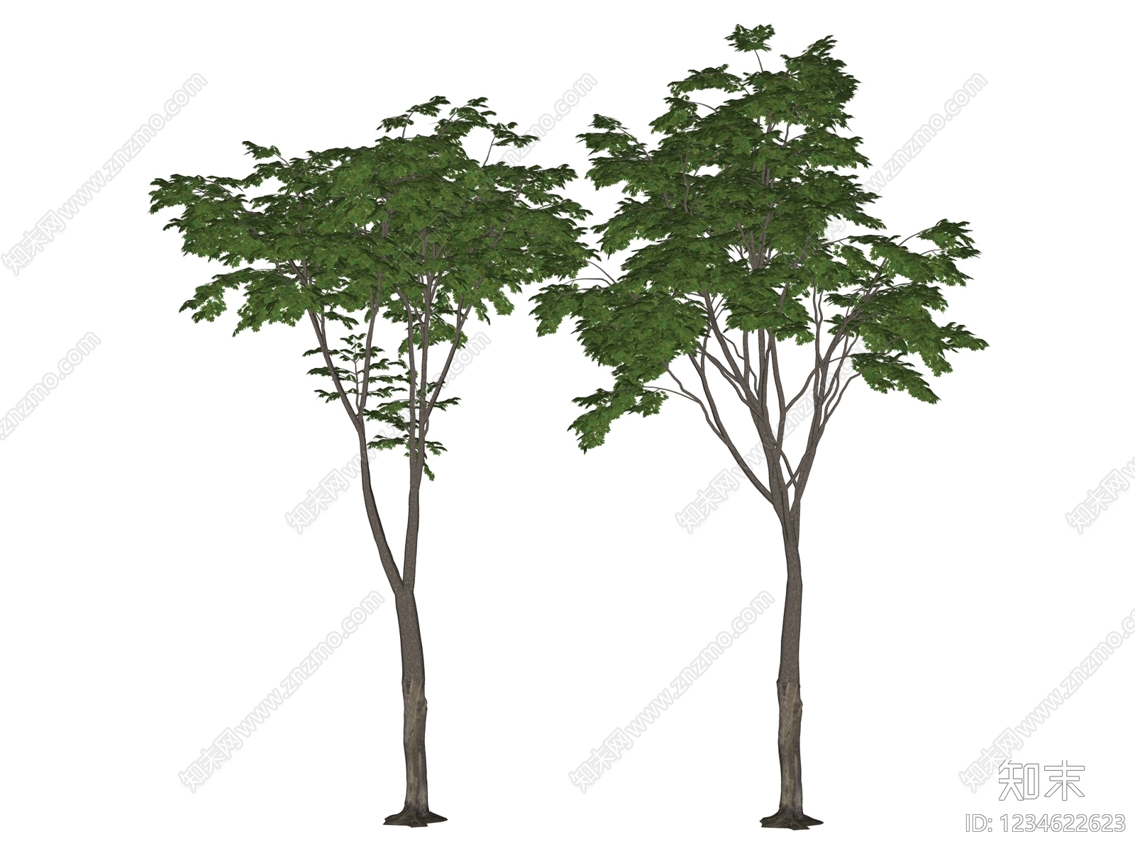 乔木SU模型下载【ID:1234622623】