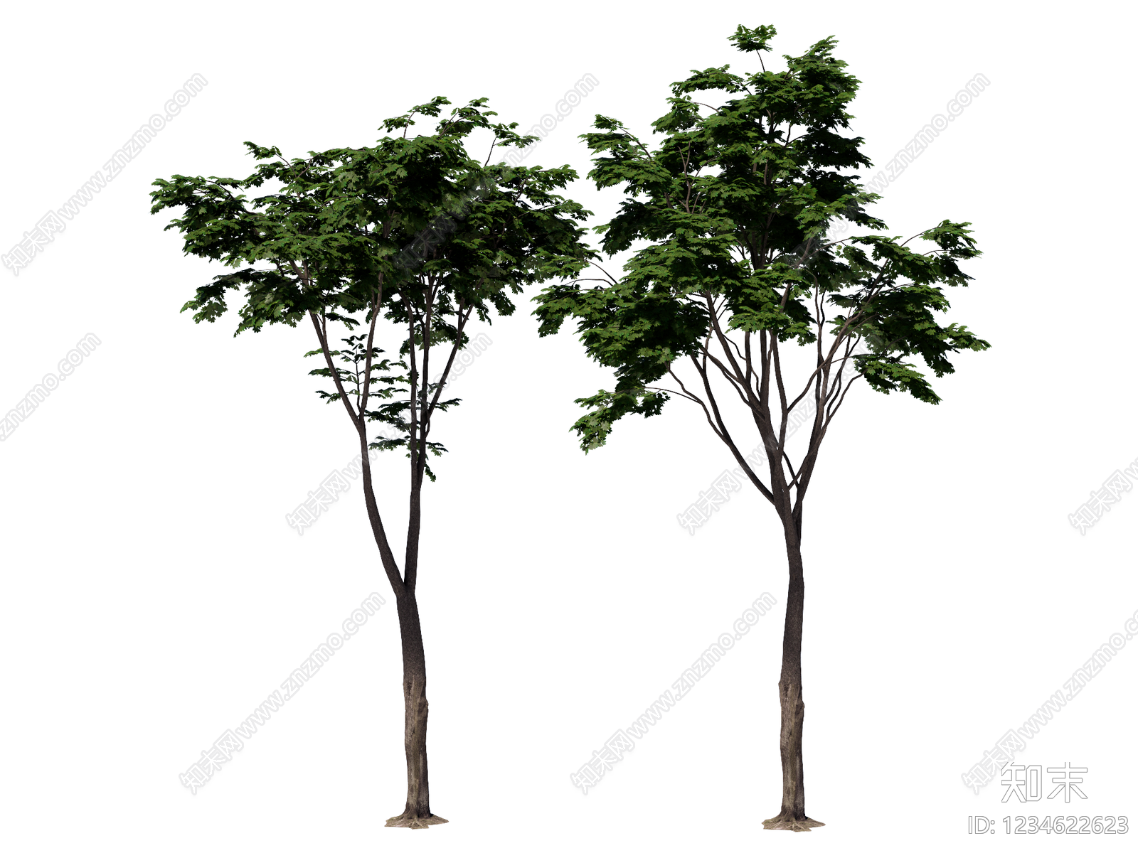 乔木SU模型下载【ID:1234622623】