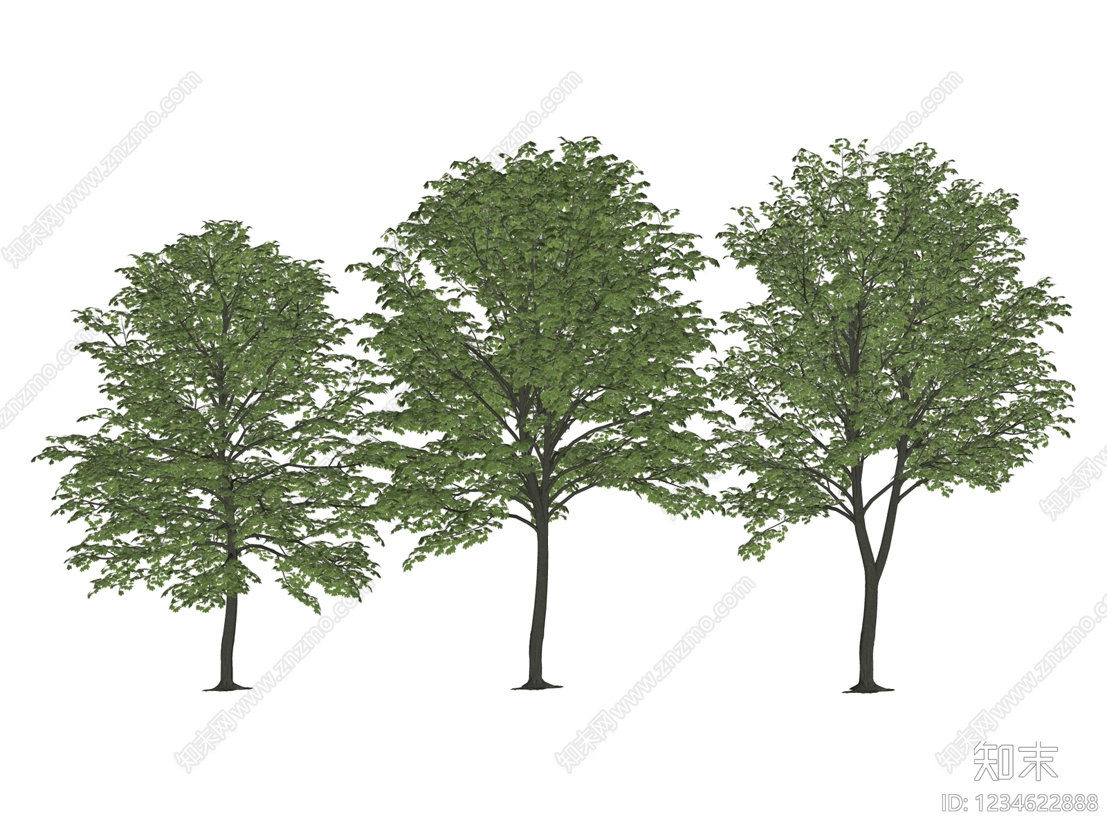 乔木SU模型下载【ID:1234622888】
