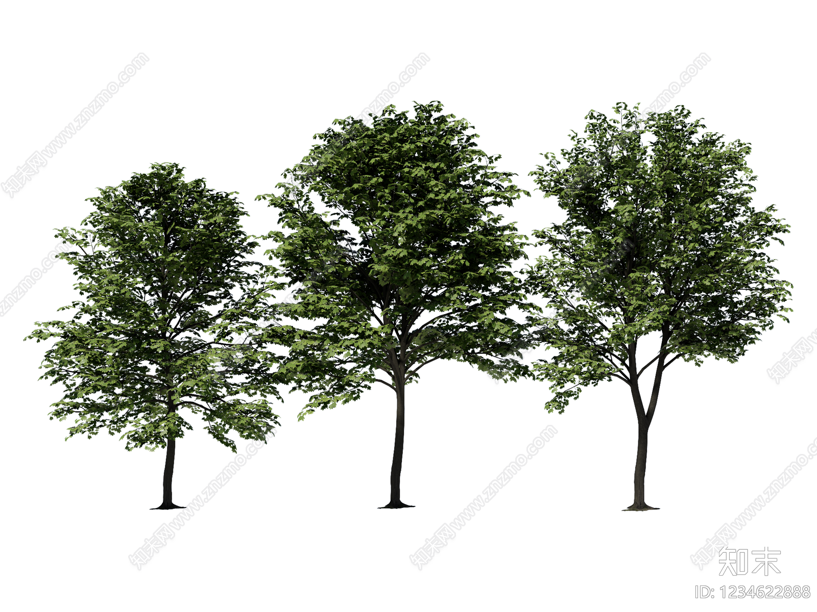 乔木SU模型下载【ID:1234622888】