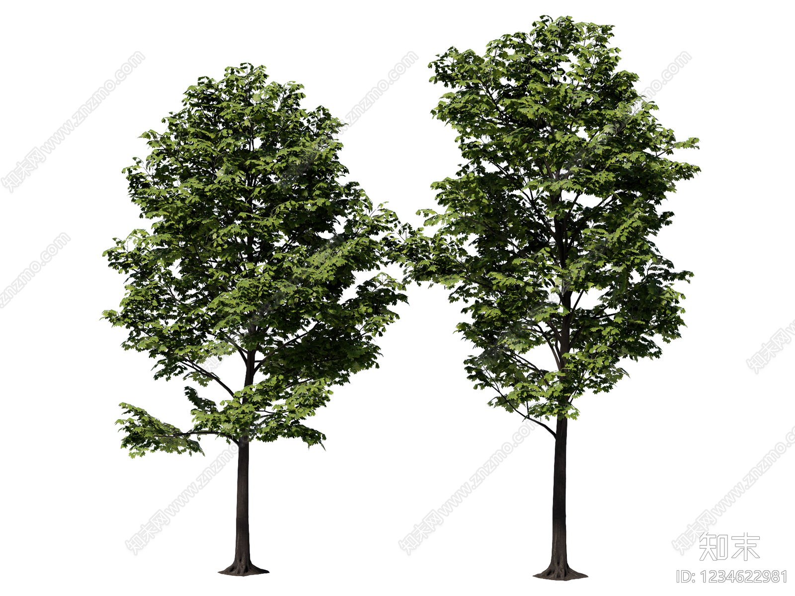 乔木SU模型下载【ID:1234622981】