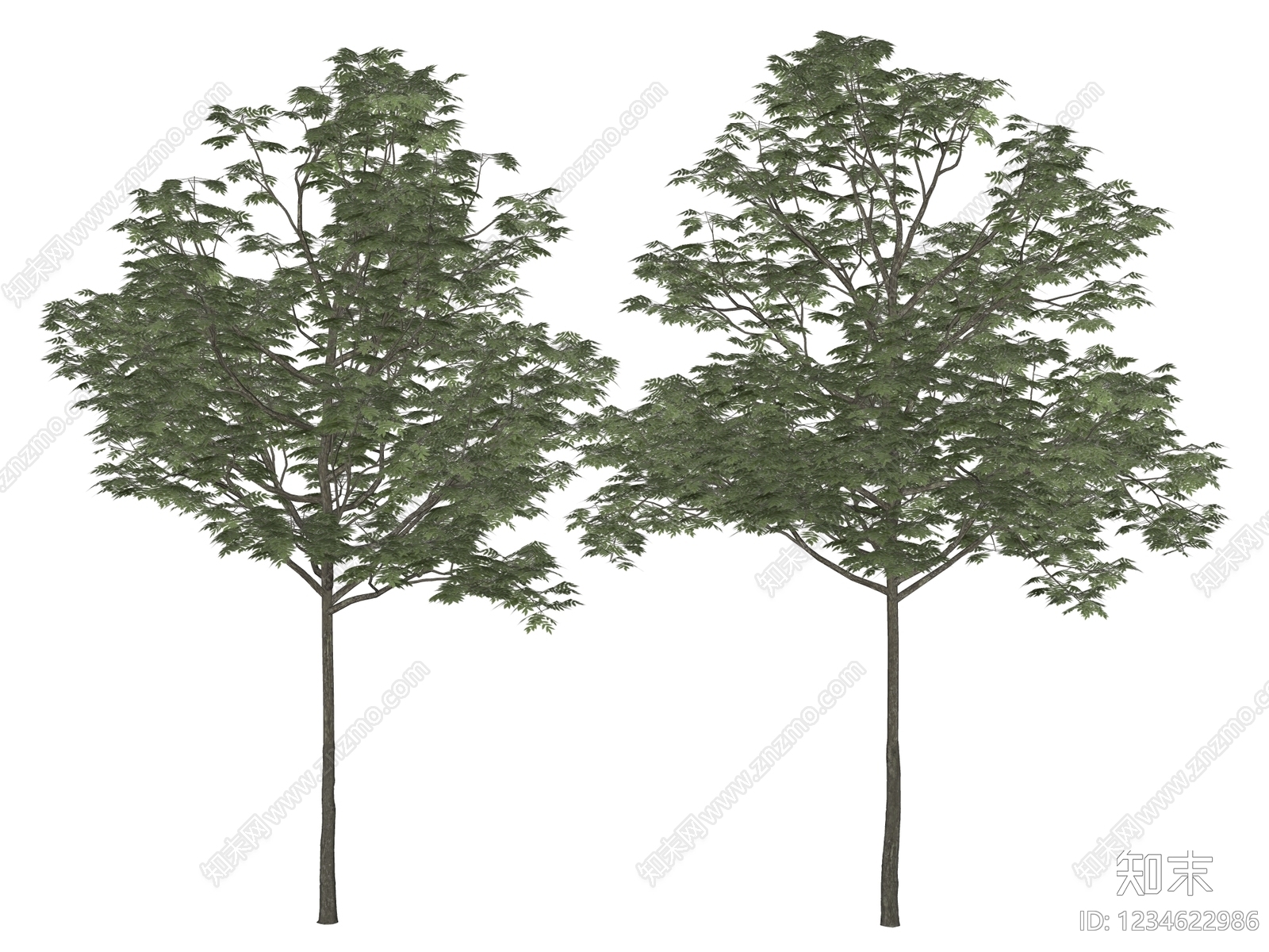 乔木SU模型下载【ID:1234622986】