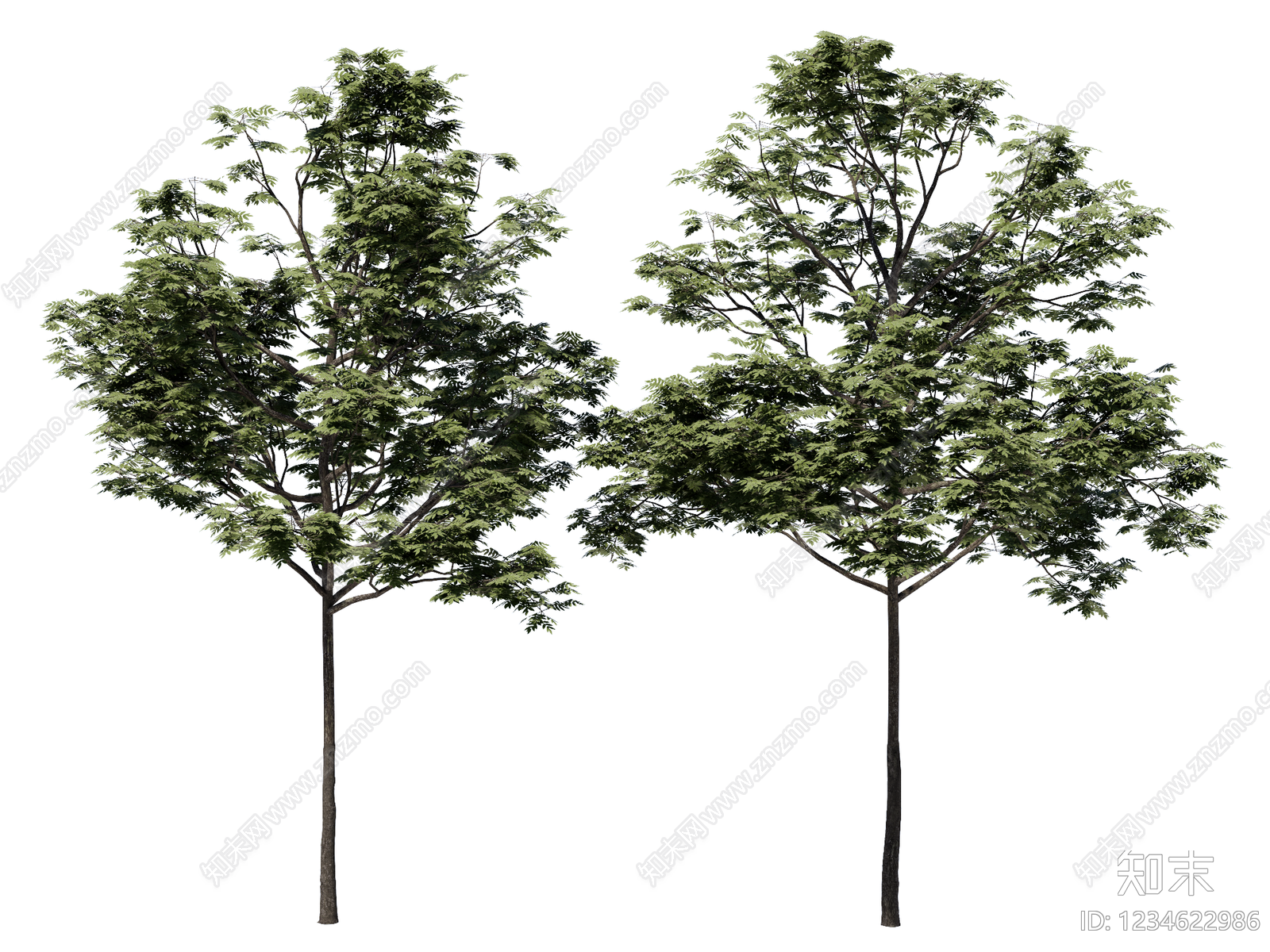 乔木SU模型下载【ID:1234622986】