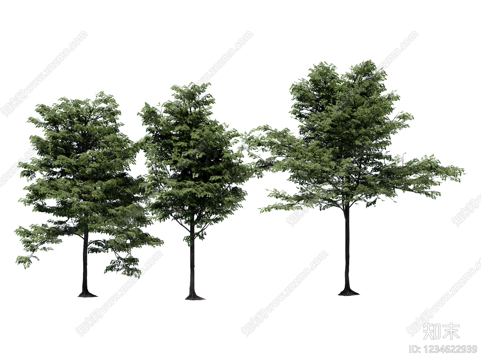 乔木SU模型下载【ID:1234622939】