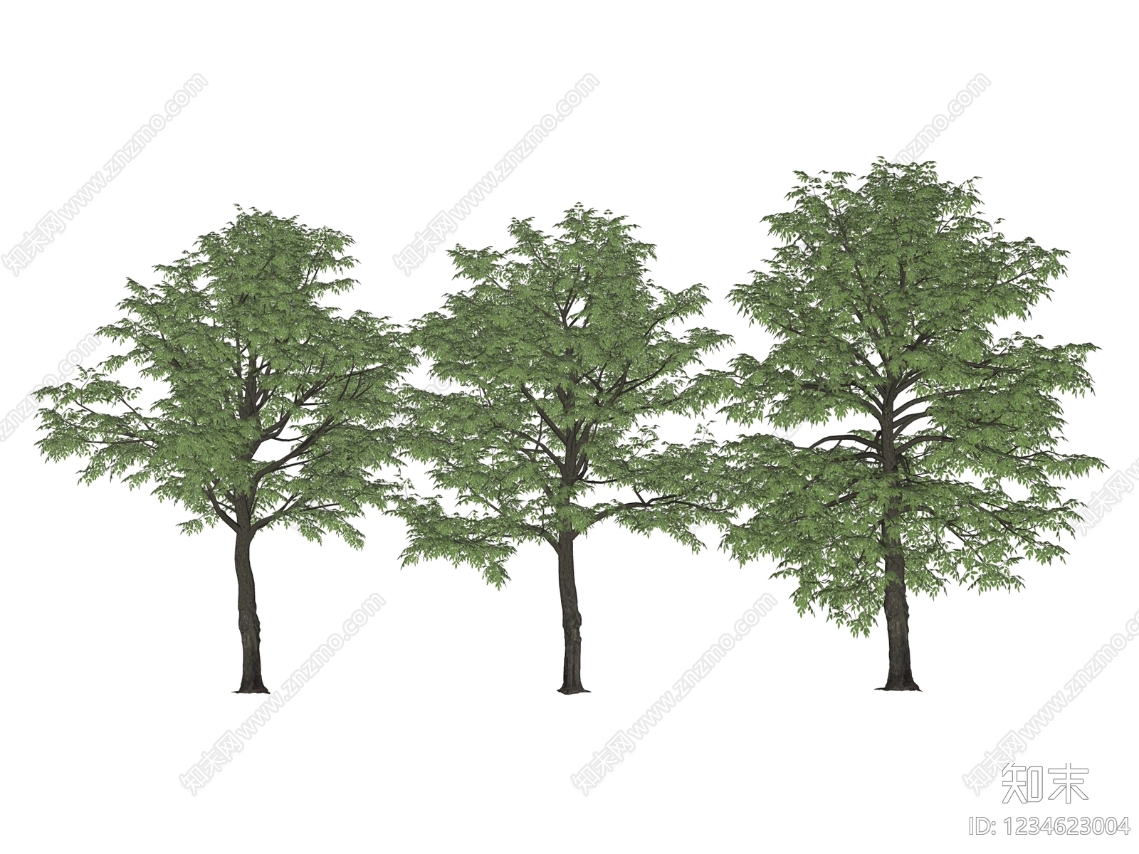 乔木SU模型下载【ID:1234623004】