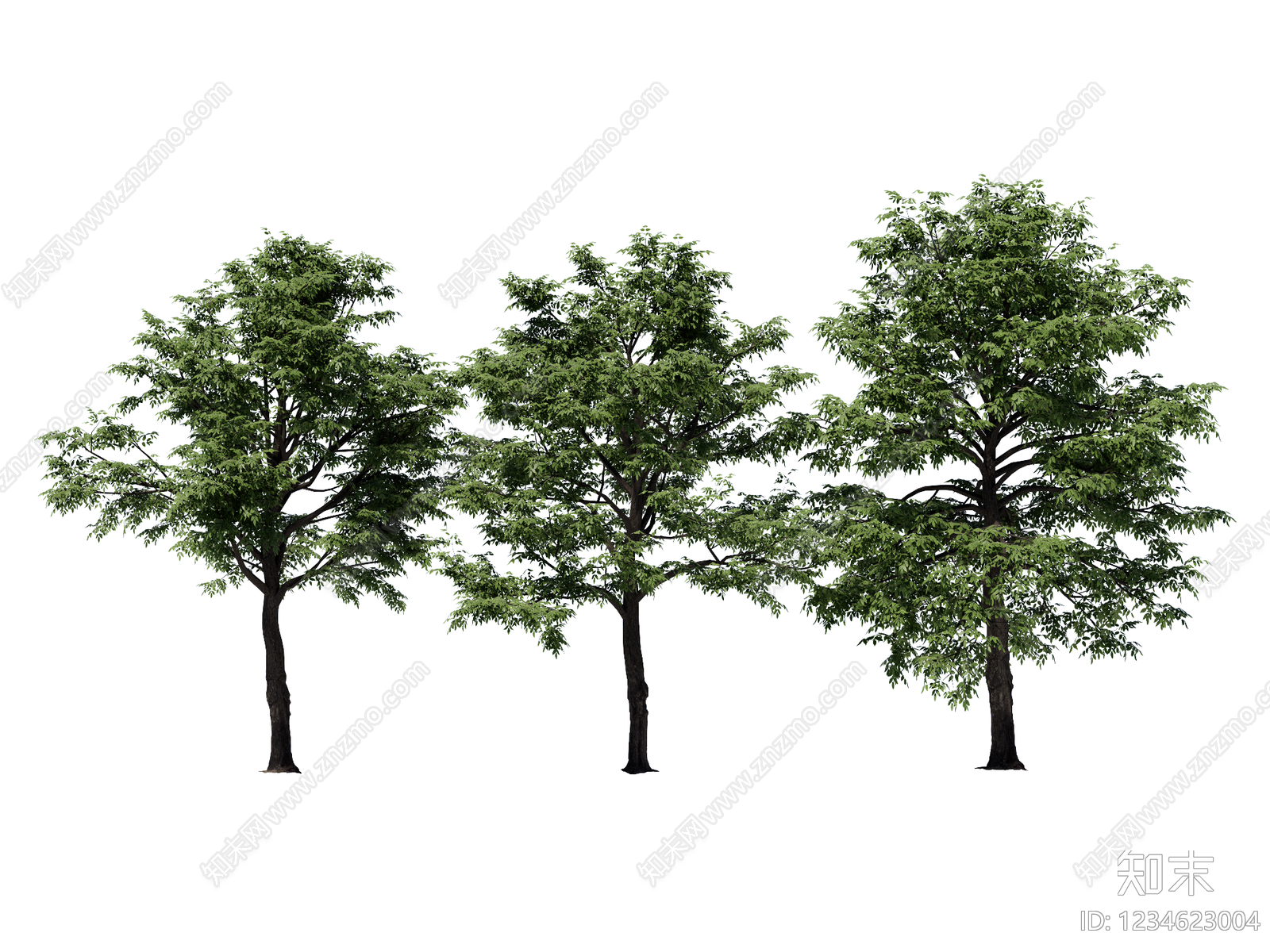 乔木SU模型下载【ID:1234623004】