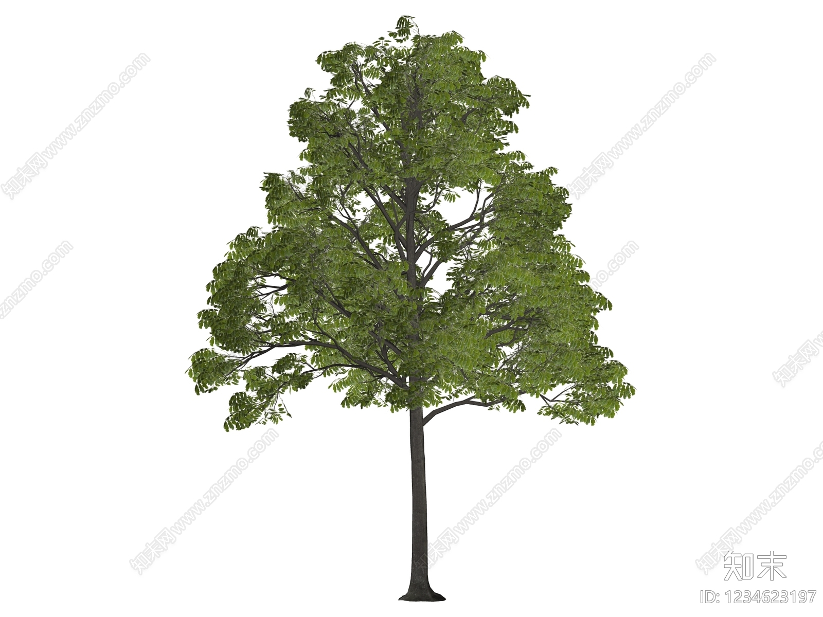 乔木SU模型下载【ID:1234623197】