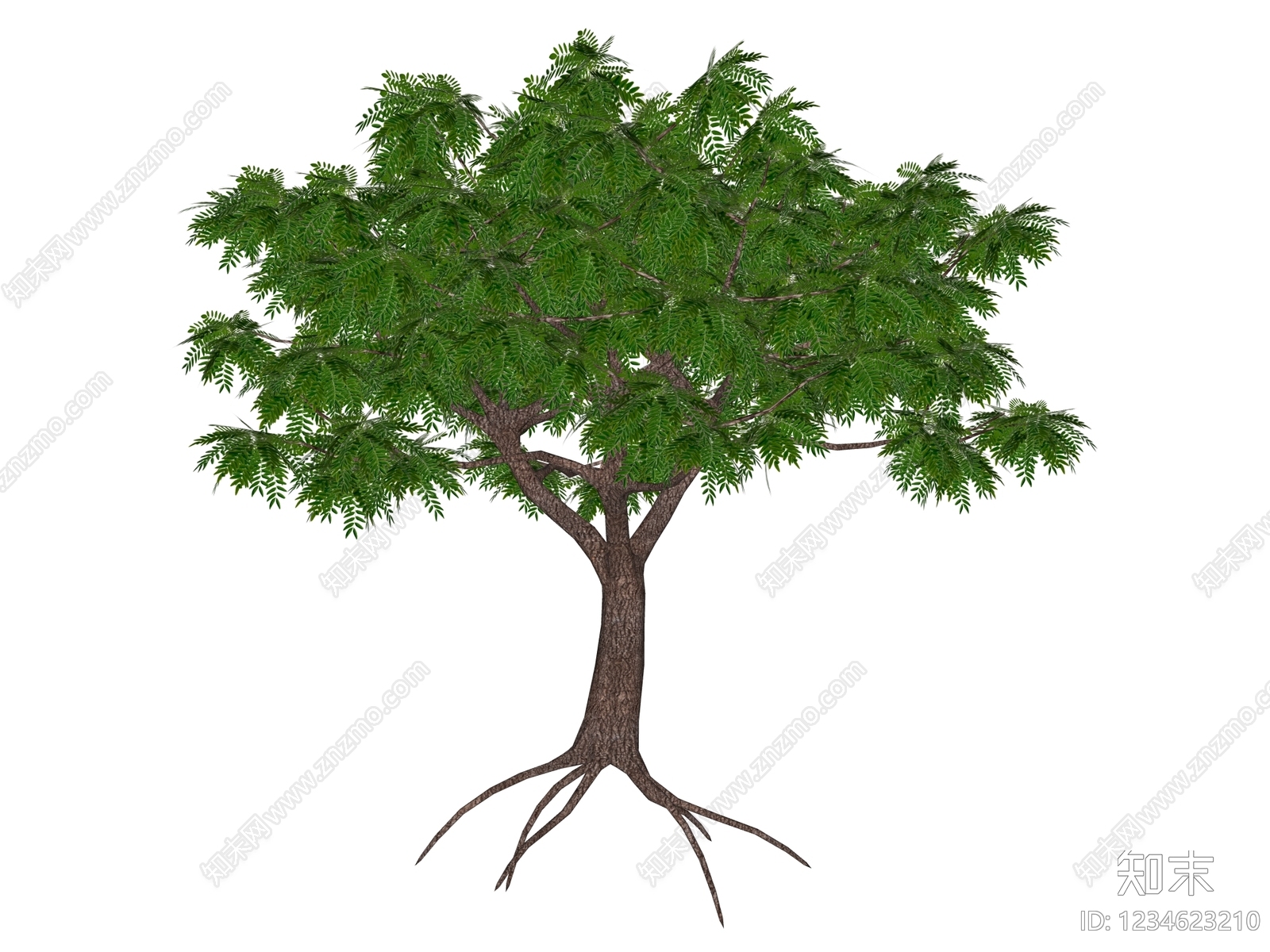 乔木SU模型下载【ID:1234623210】