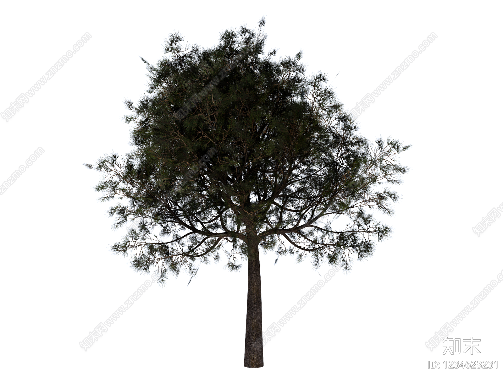 乔木SU模型下载【ID:1234623231】