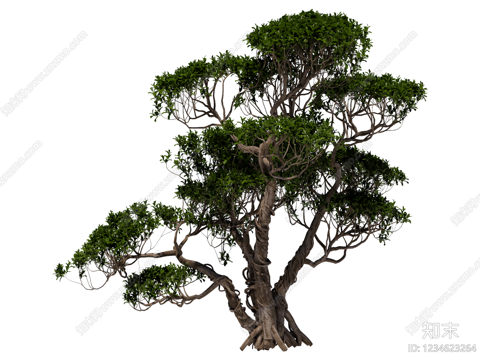 禅意乔木SU模型下载【ID:1234623264】