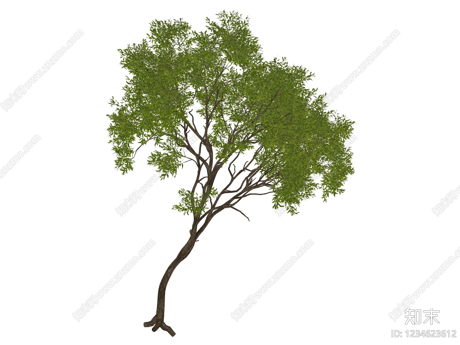 乔木SU模型下载【ID:1234623612】