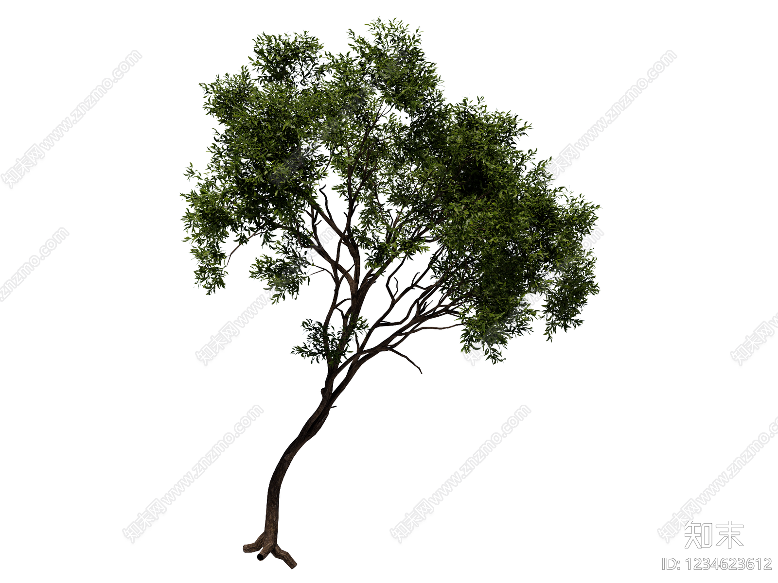乔木SU模型下载【ID:1234623612】
