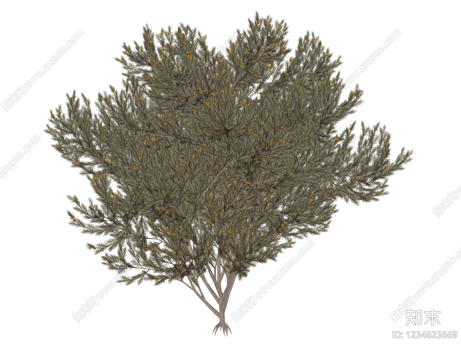 灌木SU模型下载【ID:1234623669】