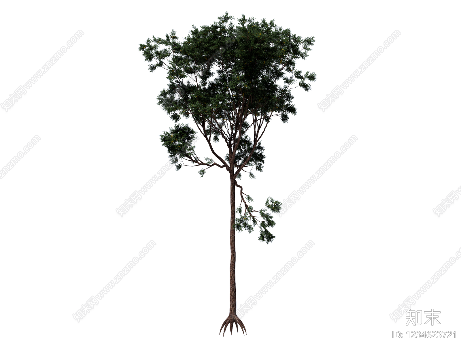 乔木SU模型下载【ID:1234623721】