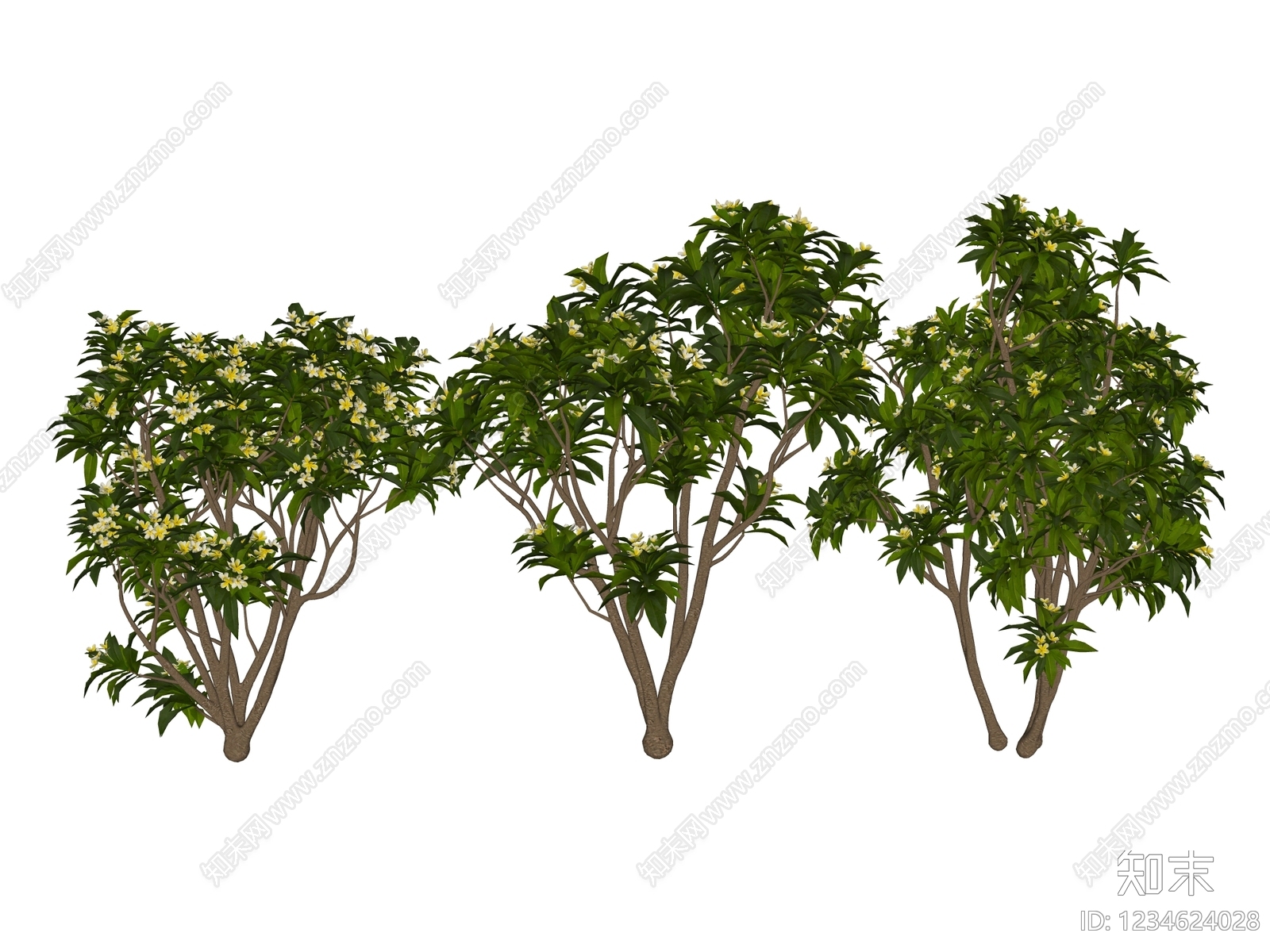 灌木SU模型下载【ID:1234624028】