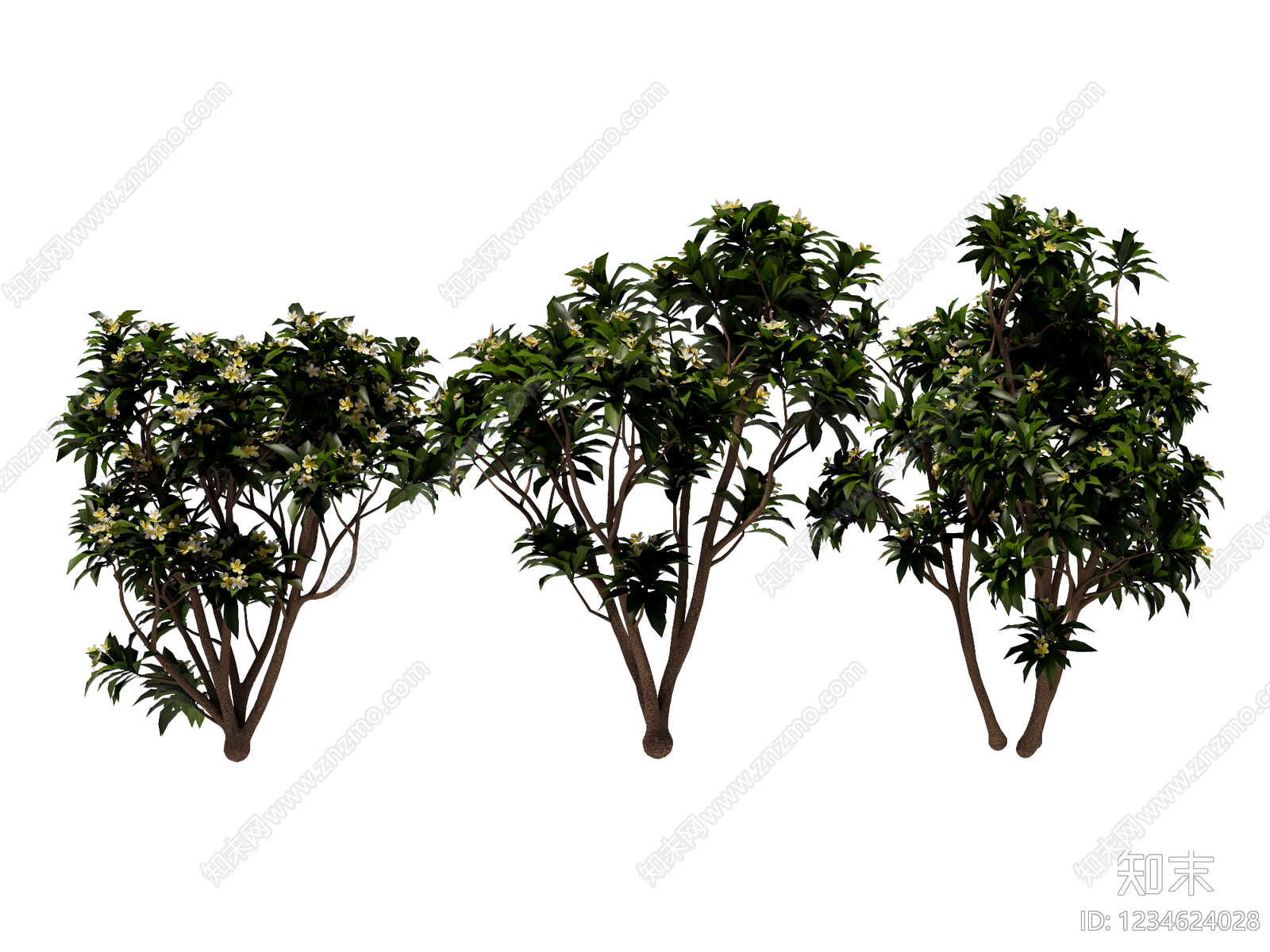 灌木SU模型下载【ID:1234624028】