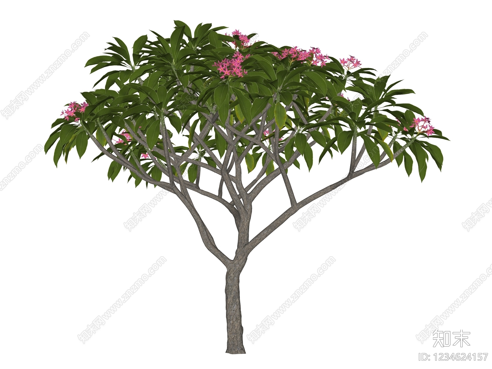 乔木SU模型下载【ID:1234624157】