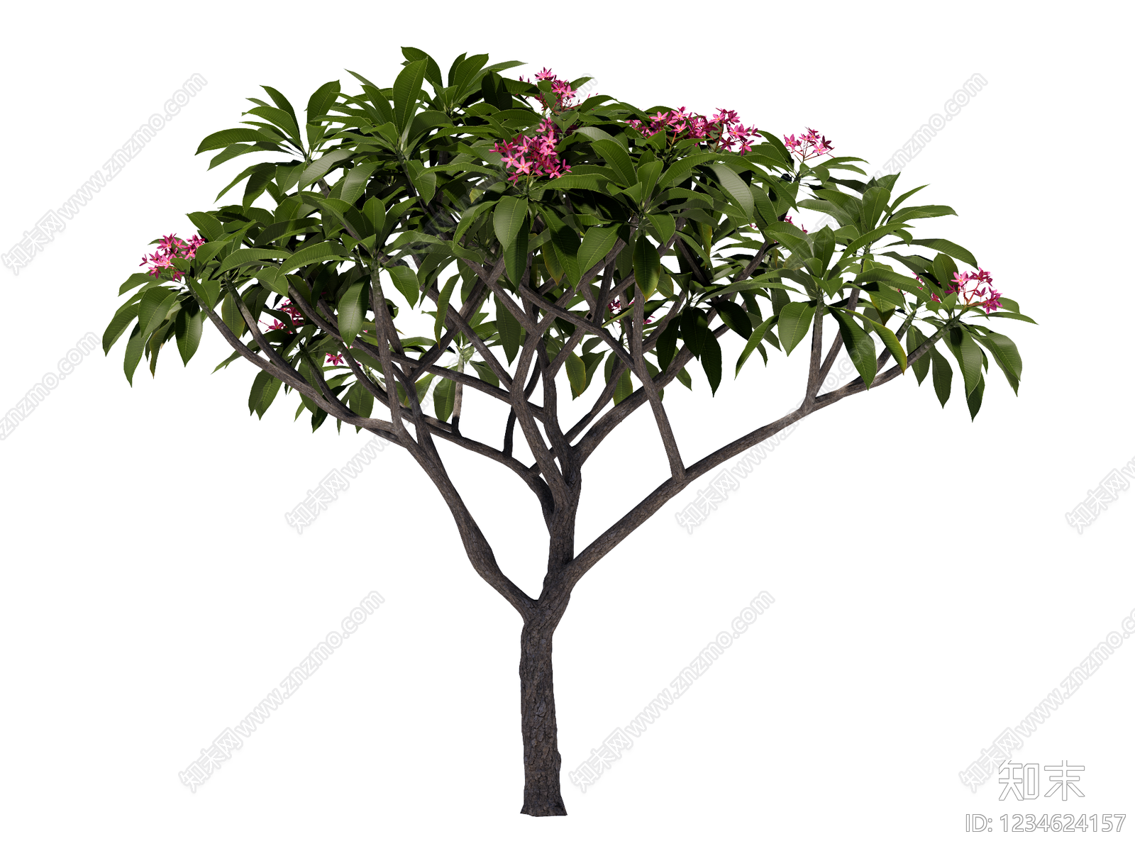 乔木SU模型下载【ID:1234624157】