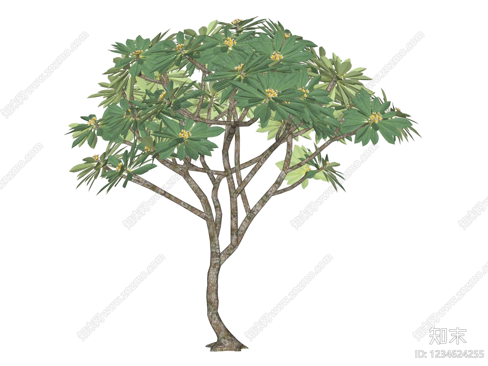 乔木SU模型下载【ID:1234624255】