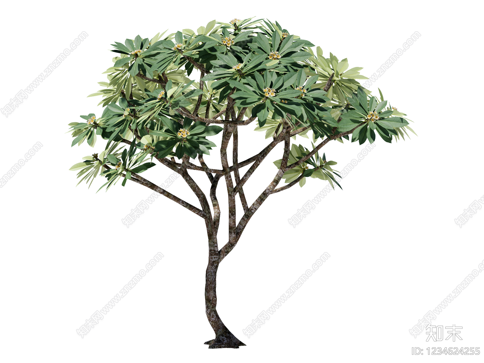 乔木SU模型下载【ID:1234624255】