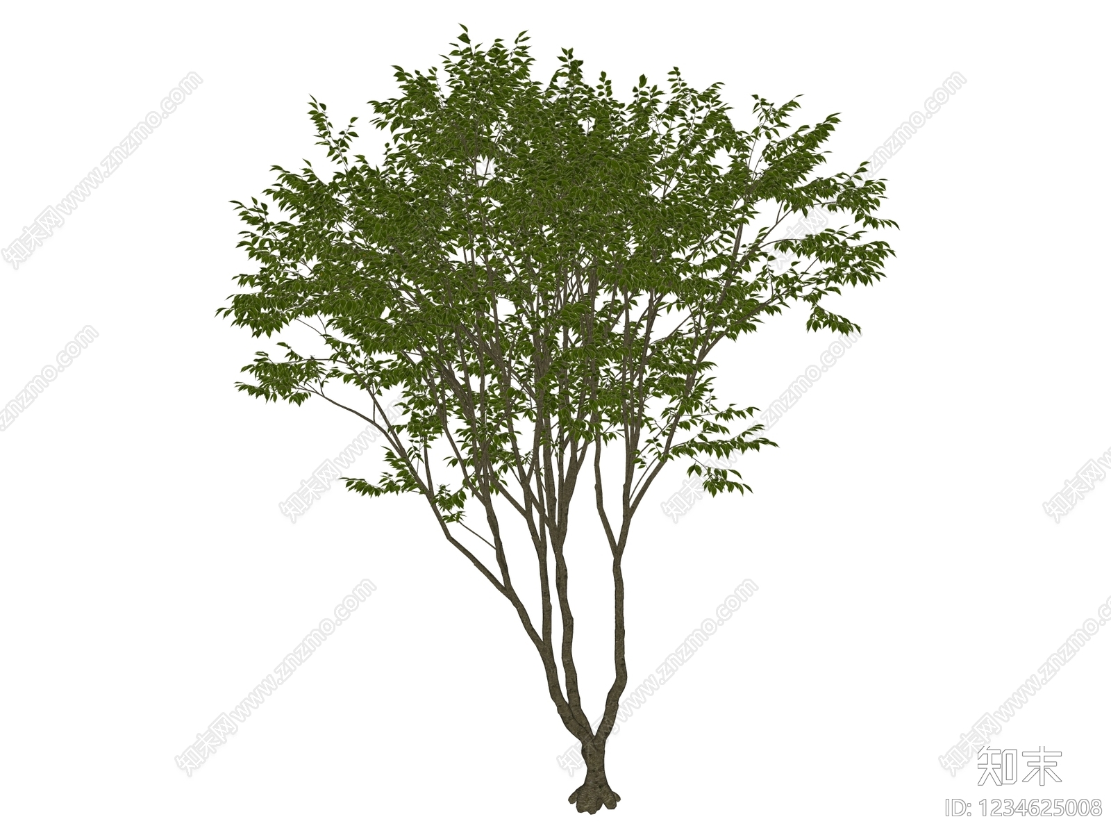 乔木SU模型下载【ID:1234625008】