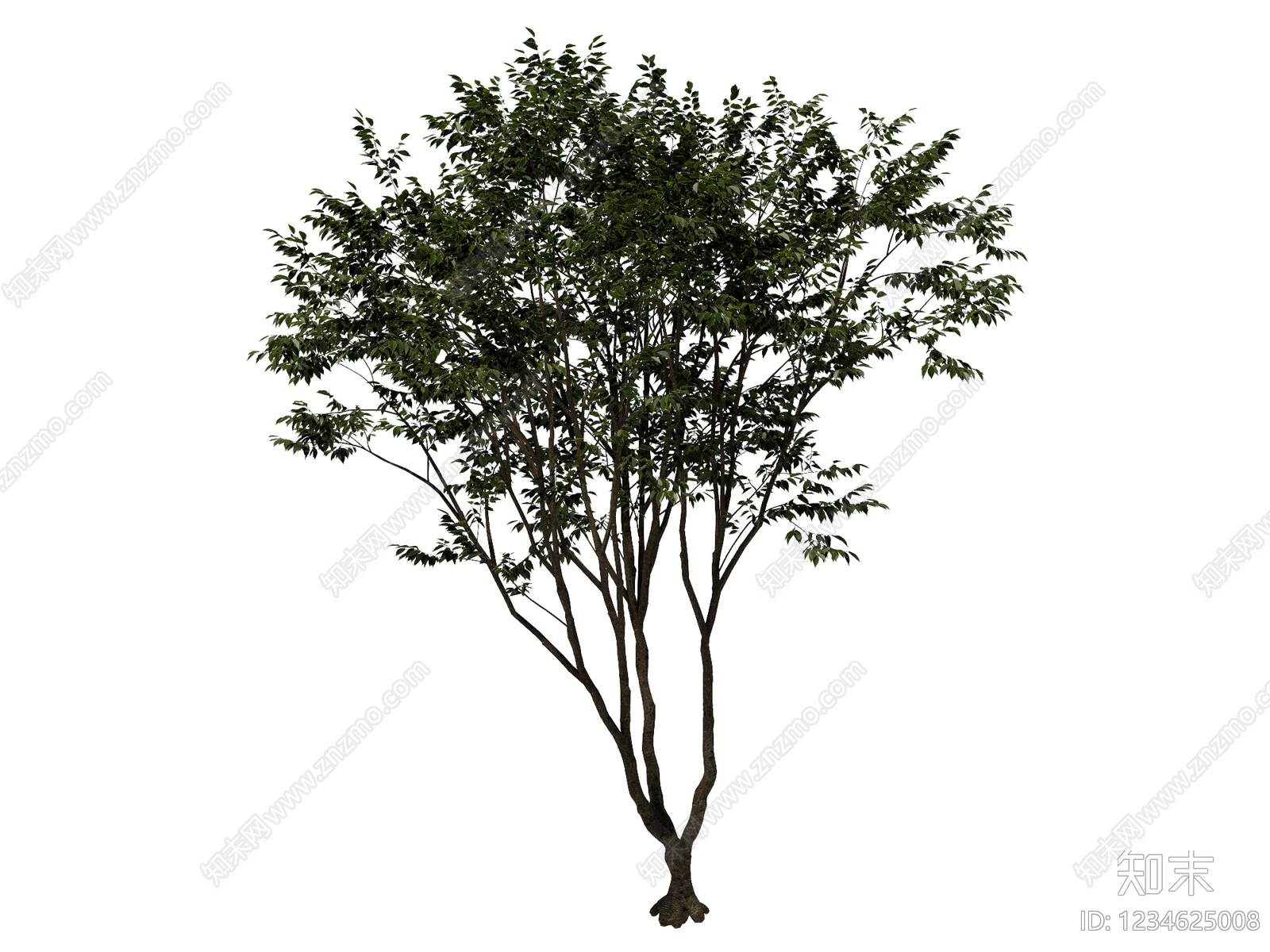 乔木SU模型下载【ID:1234625008】