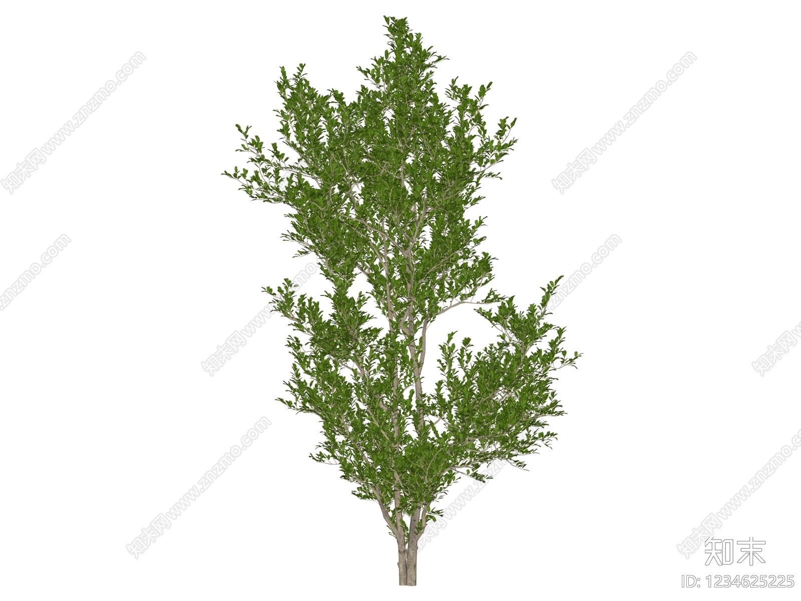 乔木SU模型下载【ID:1234625225】