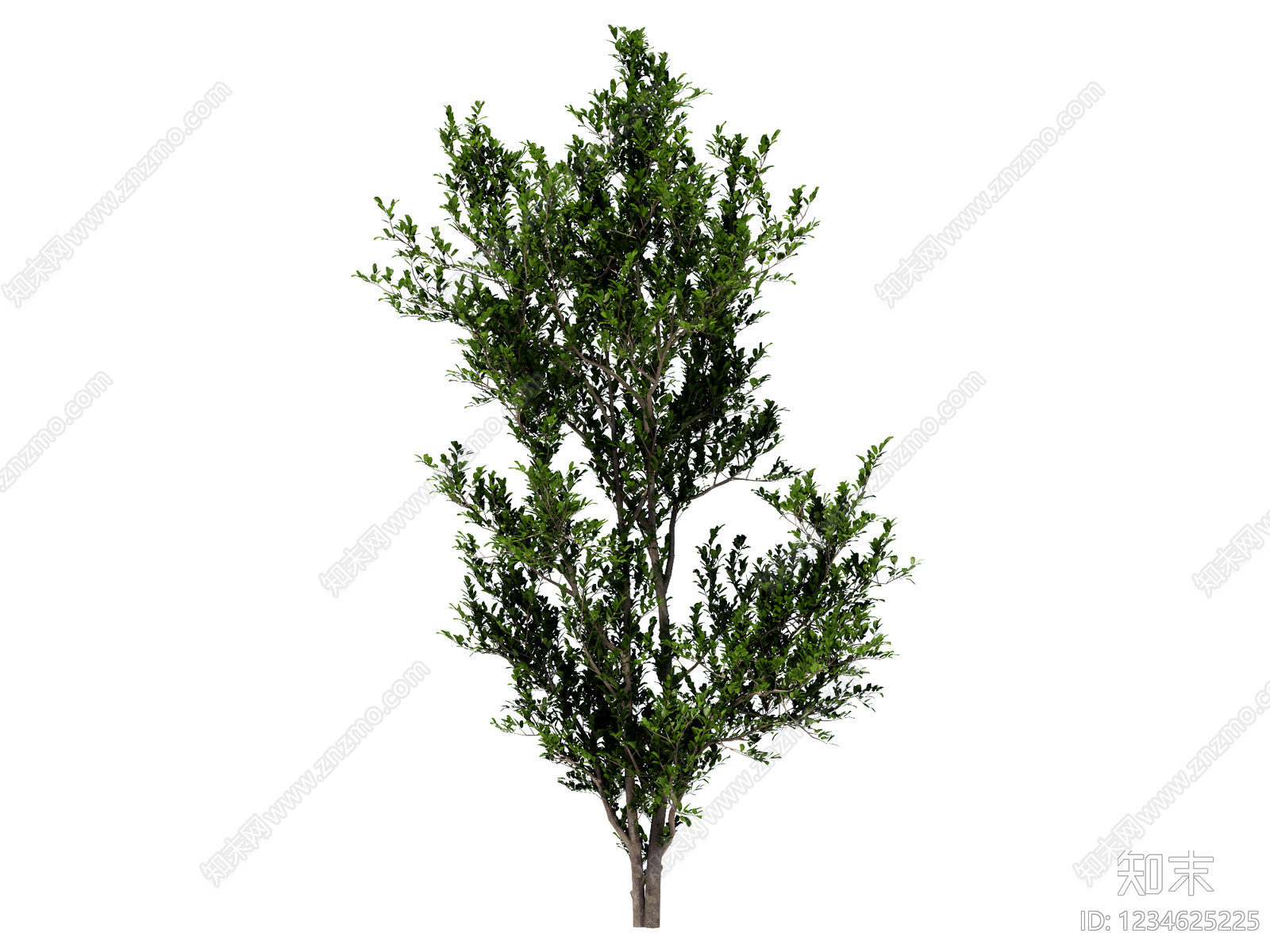 乔木SU模型下载【ID:1234625225】