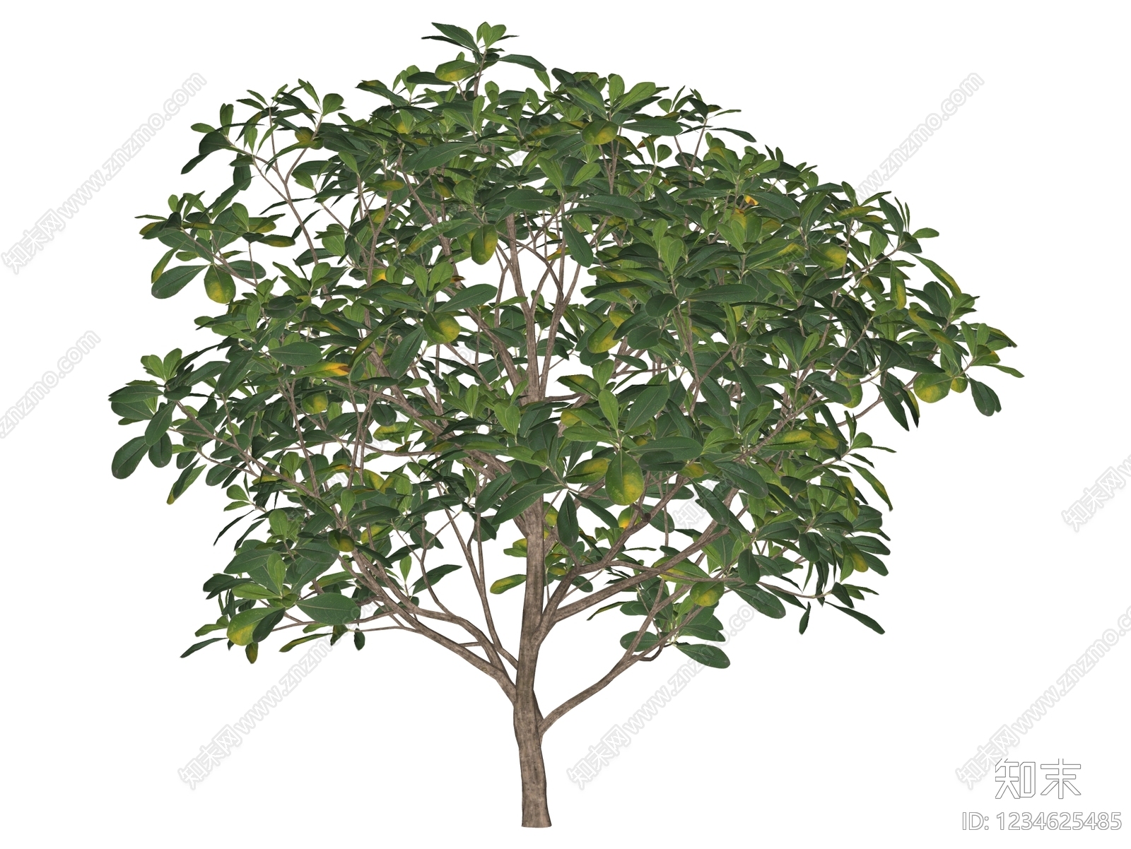 乔木SU模型下载【ID:1234625485】