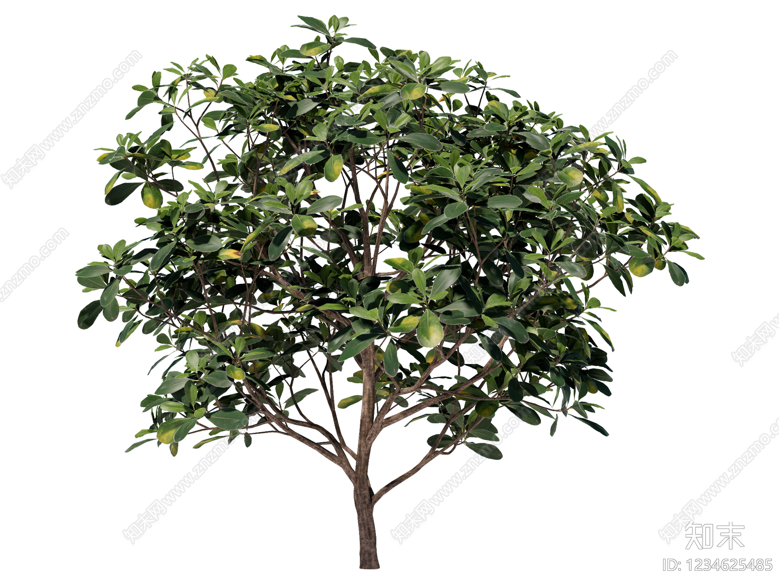 乔木SU模型下载【ID:1234625485】